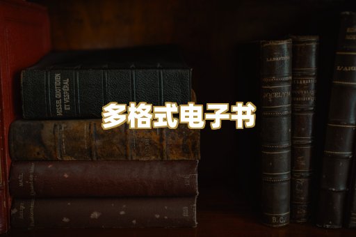 多格式电子书